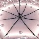 Жіноча механічна парасолька на 8 спиць від SL, коричнева, 035011-3