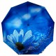 Жіноча парасолька напівавтомат на 9 спиць із квітковим принтом від Frei Regen, синя ручка, 09085-1