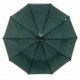 Жіноча складана механічна парасолька від Toprain, зелена, 0097-6