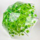 Прозрачный зонт-трость c куполом грибком и кленовыми листьями, Paolo Rossi, зеленый, 03468-1