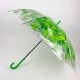 Прозора парасолька-тростина з куполом грибком і кленовим листям, Paolo Rossi, зелена, 03468-1