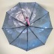 Жіноча складна парасолька автомат із принтом від TheBest-Flagman, fl0134-5