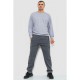 Спорт штани чоловічі на флісі, колір сірий, 244R41153