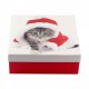 Коробка подарункова ООТВ Santa Cat 20 х 20 х 8 см