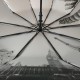 Жіноча парасолька напівавтомат Bellissimo з візерунком зсередини і тефлоновим просоченням, вишнева, 018315-9