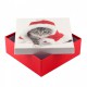 Коробка подарочная ООТВ Santa Cat 22 х 22 х 8 см