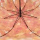 Прозора парасолька-тростина з куполом грибком і кленовим листям, Paolo Rossi, помаранчева, 03468-3