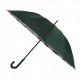 Жіноча парасолька-тростина з містами на сріблястому напиленні під куполом від Toprain, зелена, 01011-8