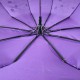 Жіноча парасолька напівавтомат на 10 спиць, із зображенням квітів, фіолетова, 0114-6