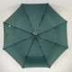 Жіноча механічна парасолька від Sl, зелена, SL019305-10, SL019305-10