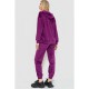 Спорт костюм жіночий велюровий, колір фіолетовий, 177R022