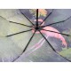 Жіноча парасолька-автомат у подарунковій упаковці з хусткою, екзотичний принт від Rain Flower, 01010-4